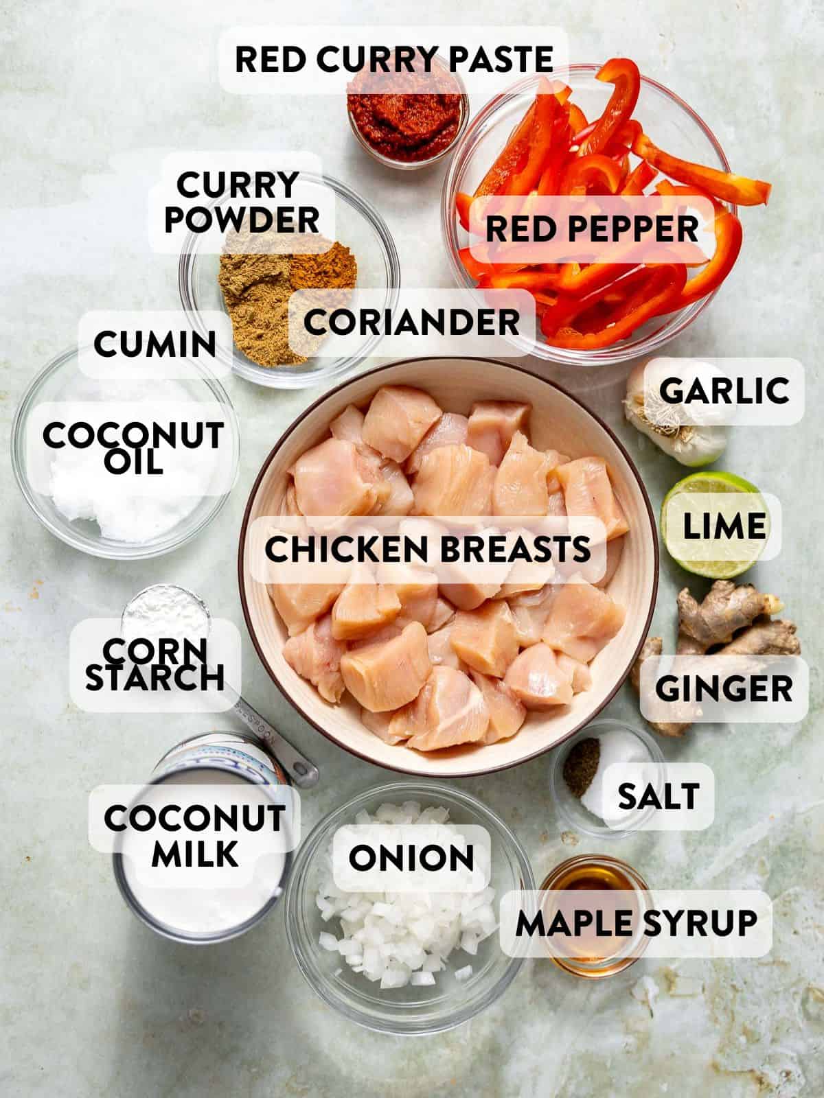 coconut curry ingredients on a counter top.